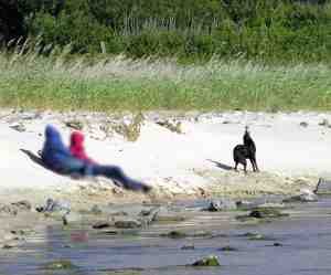 perro suelto en playa de cobas